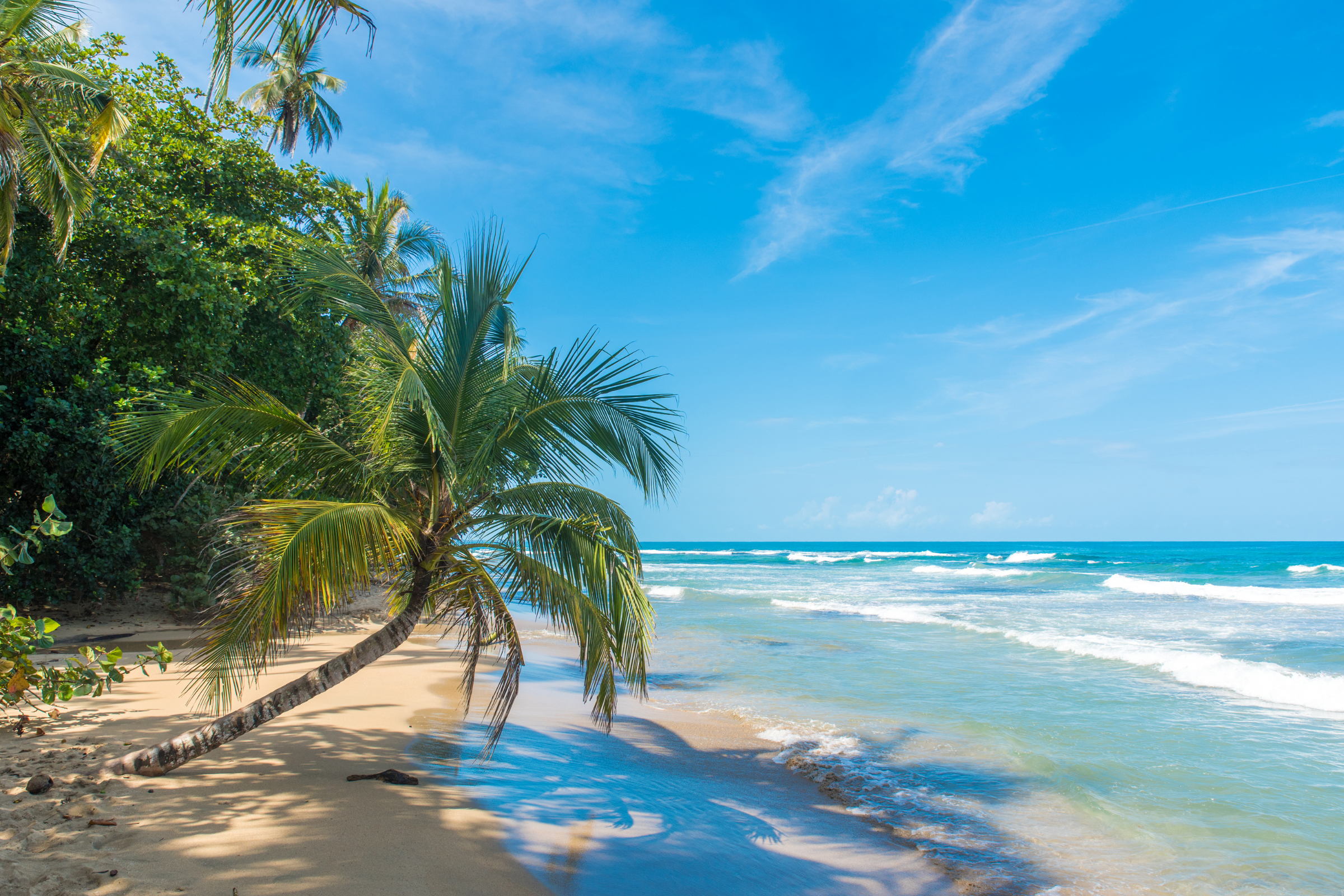puerto jimenez, costa rica.webp